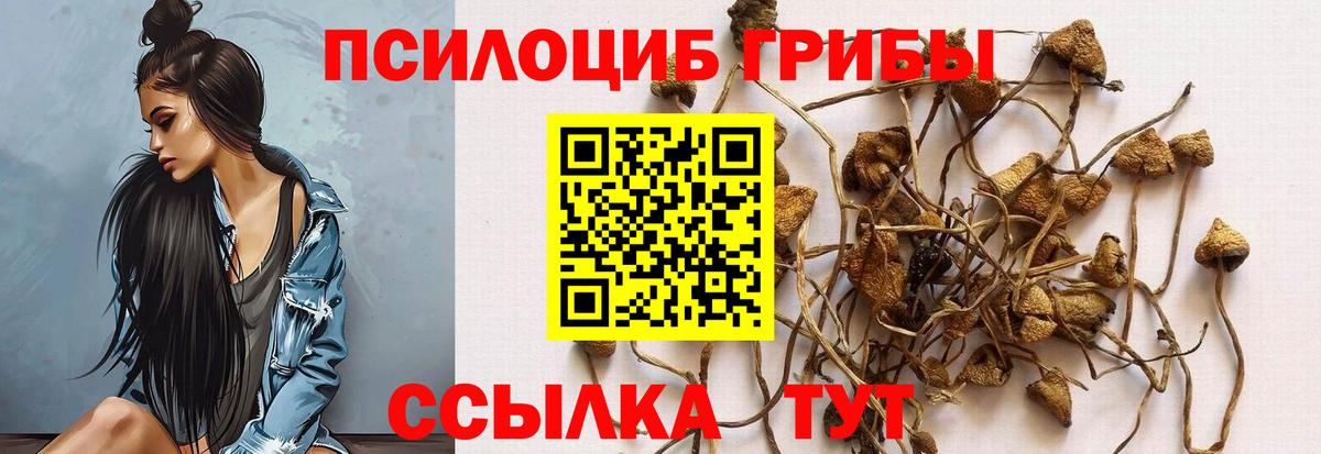 Ангарск  Галлюциногенные грибы мицелий  Вход с VPN  Галлюциногенные грибы Magic Shrooms 